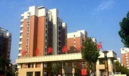 东营最新爆料,揭秘城市新动向与未来发展规划