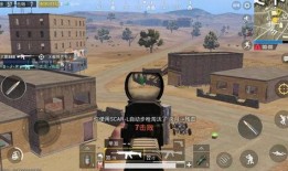 激情沙漠最新爆料视频下载,揭秘神秘探险背后的惊心动魄