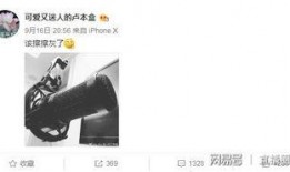 邱静微博最新爆料,揭秘娱乐圈惊人内幕！