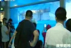 蓬莱新闻爆料事件最新,真相与舆论的交织