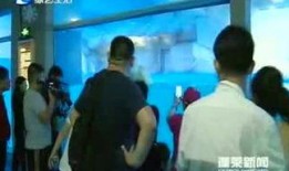 蓬莱新闻爆料事件最新,真相与舆论的交织