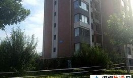 东营最新爆料,揭秘城市新动向与未来发展规划