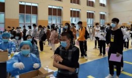 河北农民大爆料最新消息,揭秘农村发展新动态与民生改善