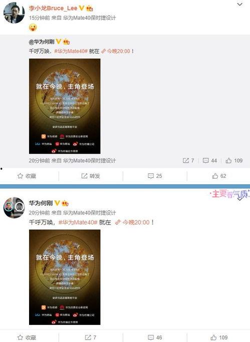 华为爆料辛巴视频大全最新,辛巴视频大全，带你领略科技与娱乐的完美融合