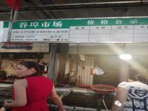 埠西市场爆料事件最新情况,真相与疑云交织，官方调查进展如何？”