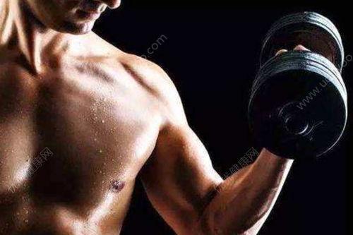 健身最新爆料新闻报道,揭秘最新爆料报道中的健身革命