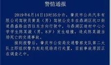 肇庆公安局爆料信息最新,揭秘系列盗窃案背后黑幕