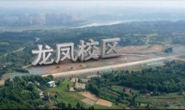 缙云校区爆料案件最新,揭秘校园疑云，真相即将揭晓