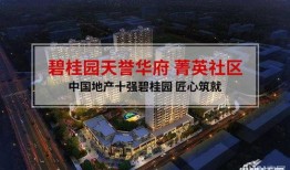 沧州碧桂园最新爆料新闻,揭秘项目最新进展与亮点