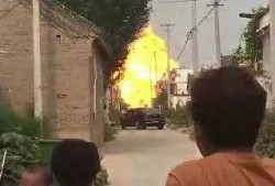 焦作武陟爆料事件最新情况