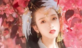 龙公子爆料盈公主最新,龙公子独家爆料，揭开神秘面纱