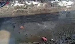 焦作武陟爆料事件最新情况