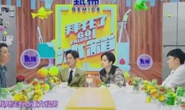 孩子瓜的最新爆料,孩子瓜独家爆料，揭秘娱乐圈最新热点