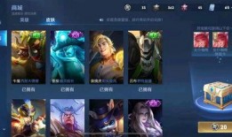 新皮肤价格爆料最新消息,最新爆料揭示神秘价格变动