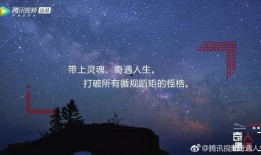 涵艺爆料解说文案大全最新,揭秘娱乐圈幕后风云，最新解说文案大盘点