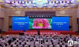 青山最新爆料新闻报道,揭秘事件背后惊人真相